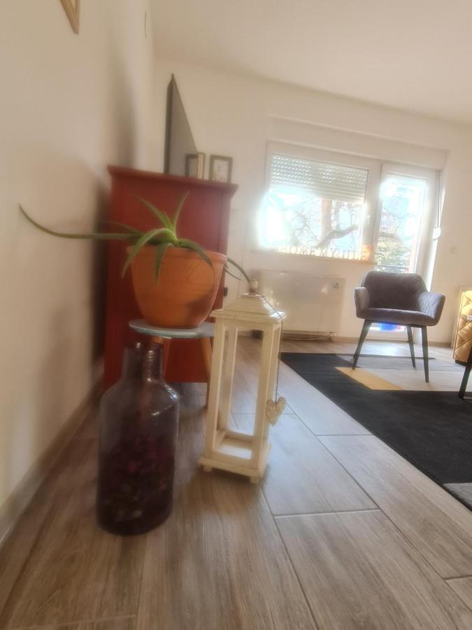 Apartman Karibo Sombor Ngoại thất bức ảnh
